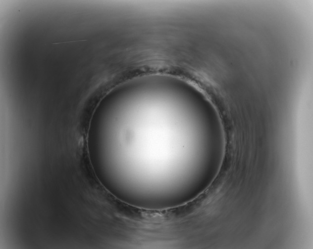 X0000088711302200706071552