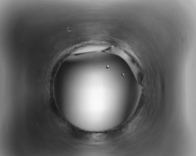 X0000088711304200706071552