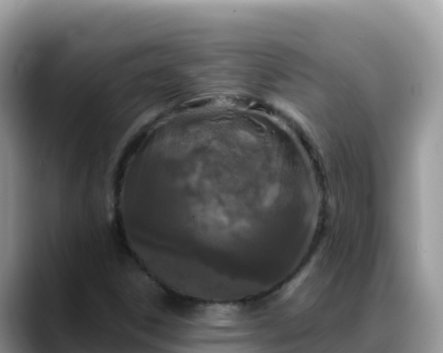 X0000088711306200706071552
