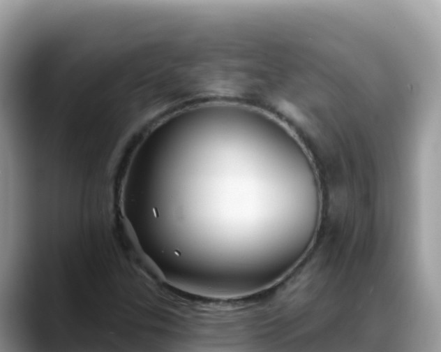 X0000088711307200706071552