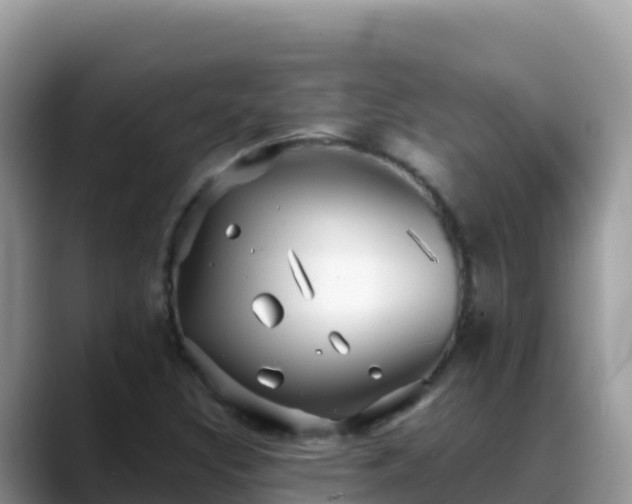 X0000088711308200706071552