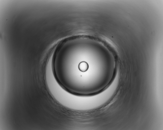 X0000088711310200706071552