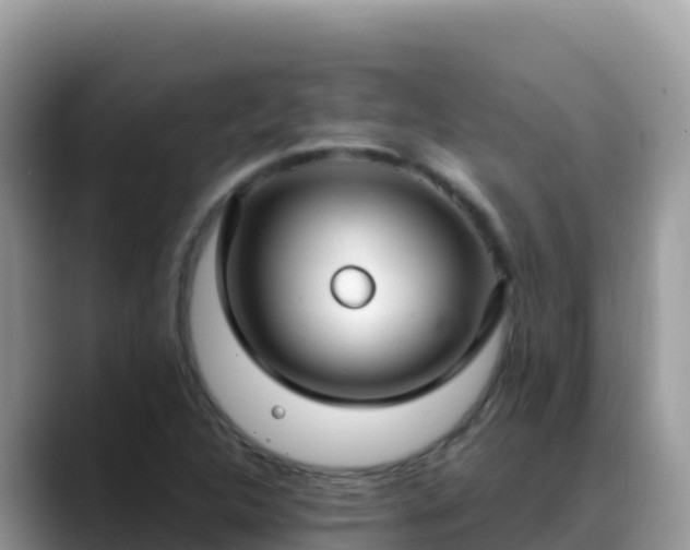 X0000088711312200706071552