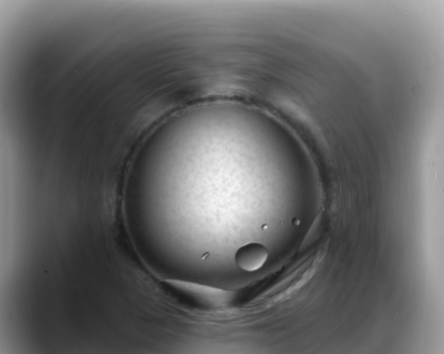 X0000088711313200706071552