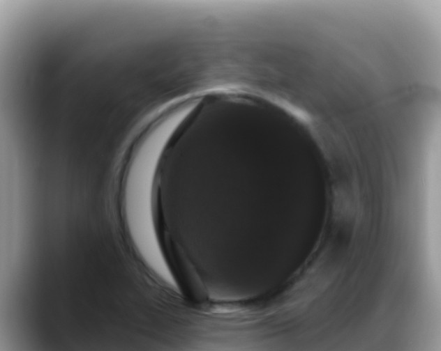 X0000088711319200706071552