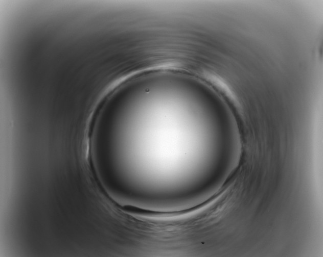 X0000088711324200706071552