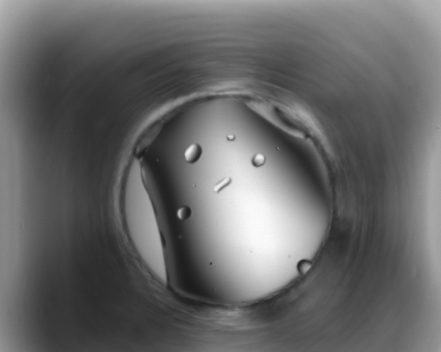 X0000088711328200706071552