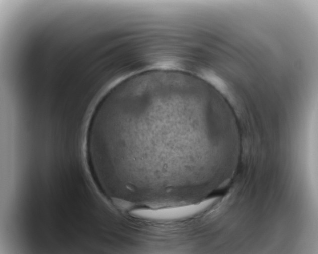 X0000088711331200706071552
