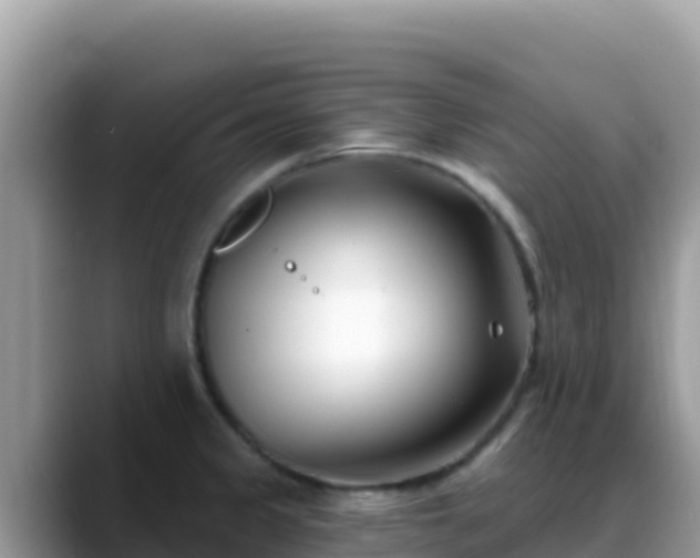 X0000088711333200706071552