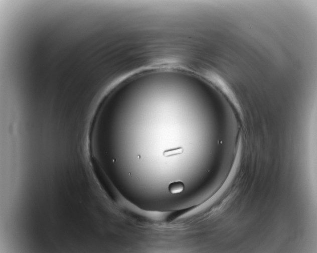 X0000088711336200706071552