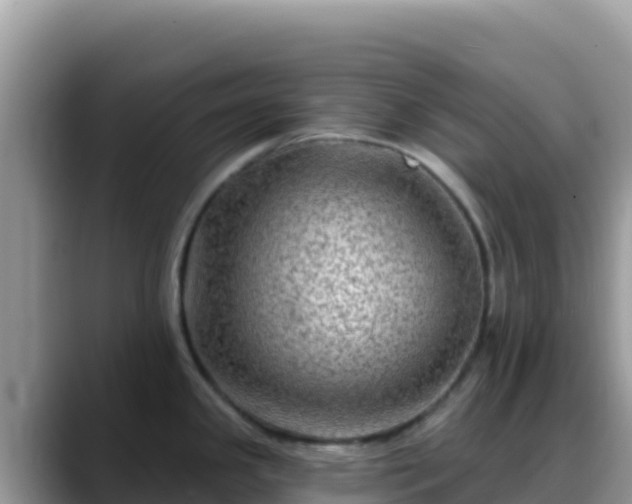 X0000088711341200706071552