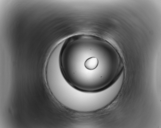 X0000088711344200706071552