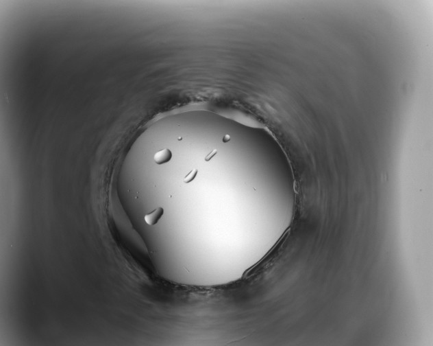 X0000088711345200706071551