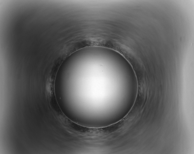X0000088711346200706071551