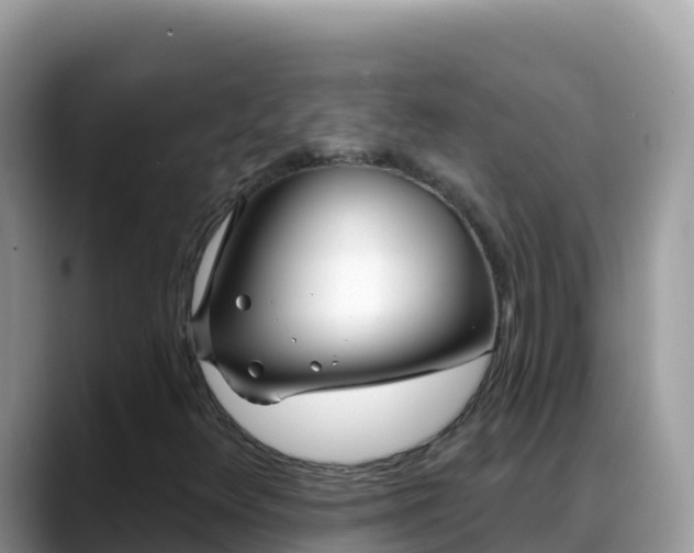 X0000088711348200706071551