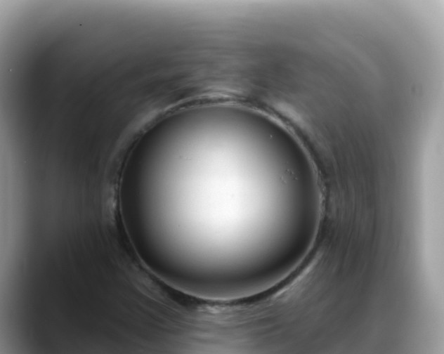 X0000088711355200706071551