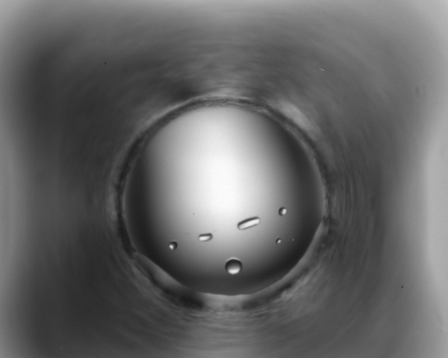 X0000088711356200706071551
