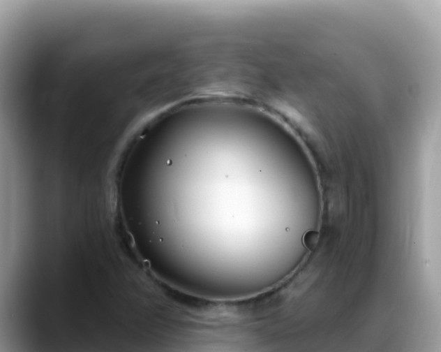 X0000088711358200706071551