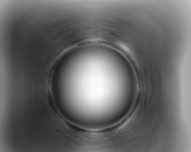 X0000088711361200706071551