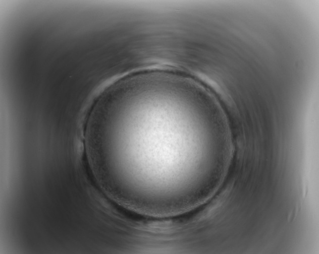 X0000088711363200706071551