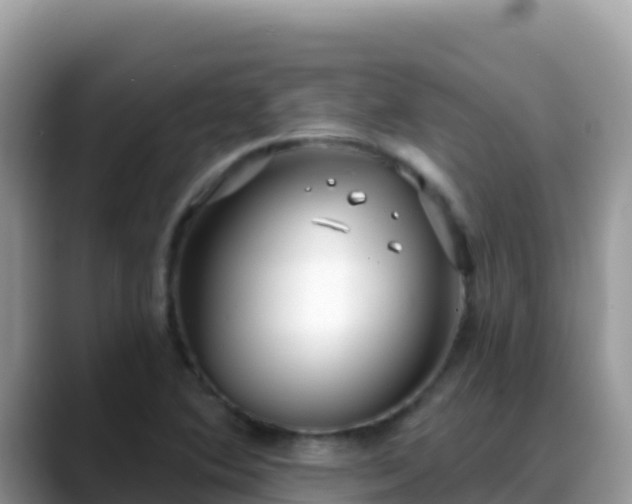 X0000088711364200706071551