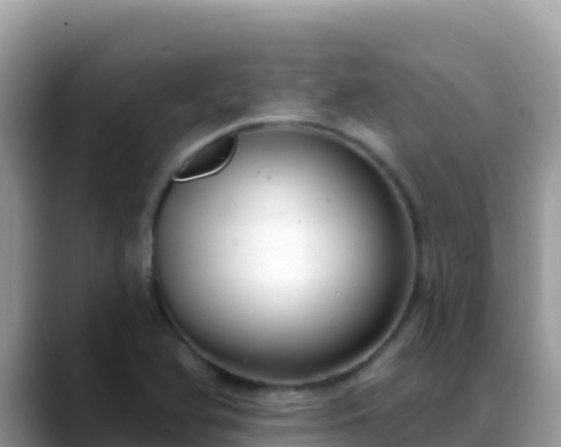 X0000088711366200706071551