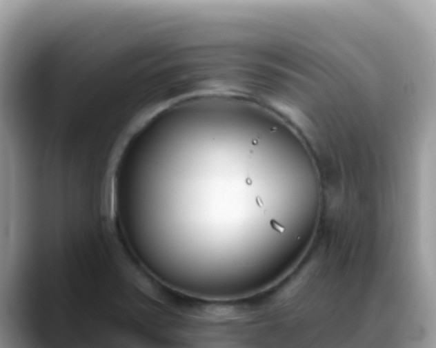 X0000088711371200706071551