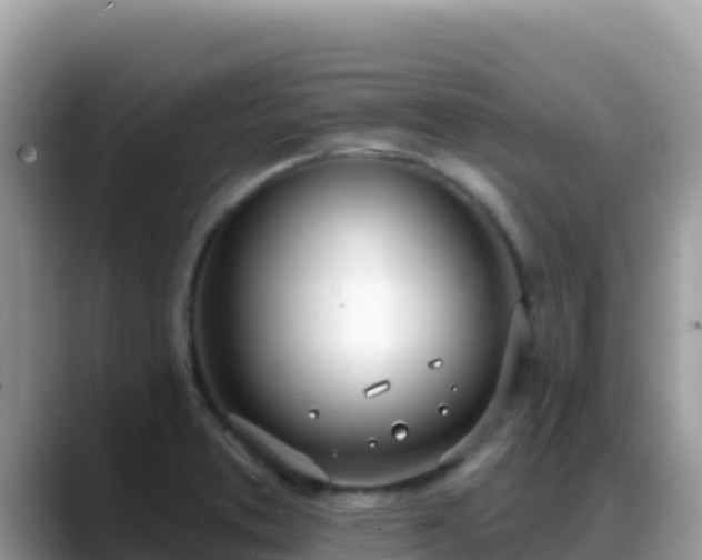 X0000088711373200706071551