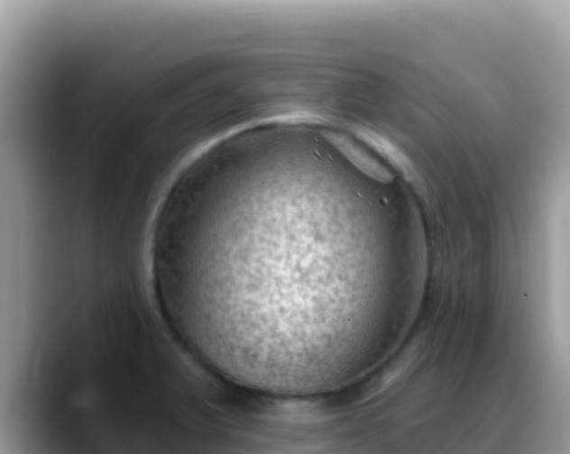 X0000088711375200706071551