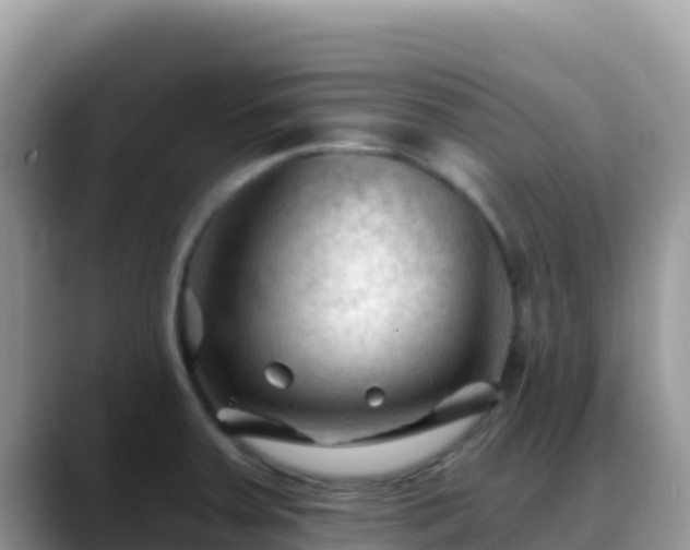 X0000088711379200706071551