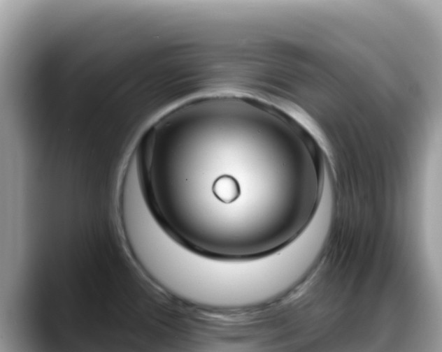 X0000088711388200706071551