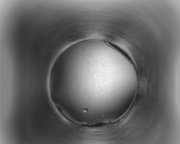 X0000088711391200706071551
