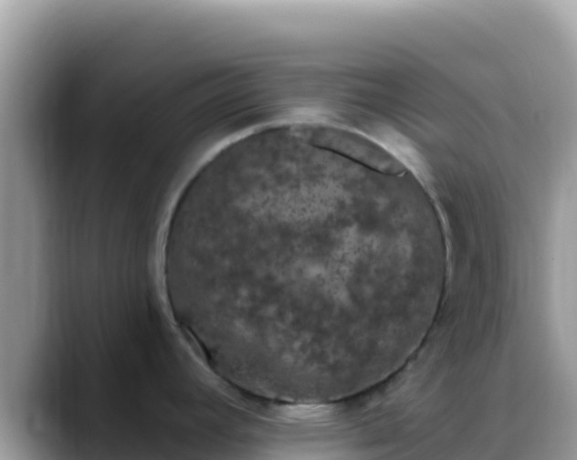 X0000088711392200706071551