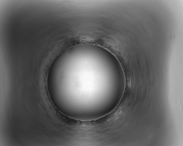 X0000088711393200706071550
