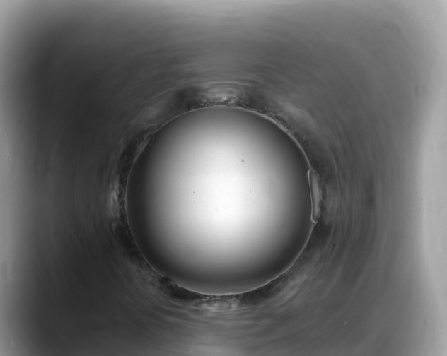 X0000088711394200706071550