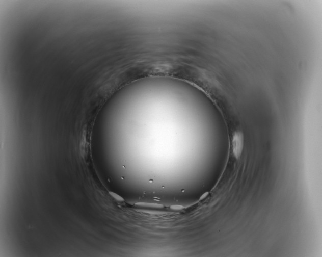 X0000088711395200706071550