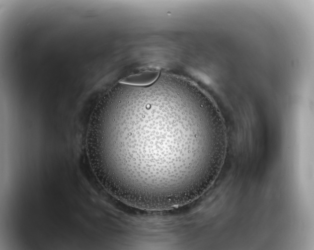 X0000088711399200706071550