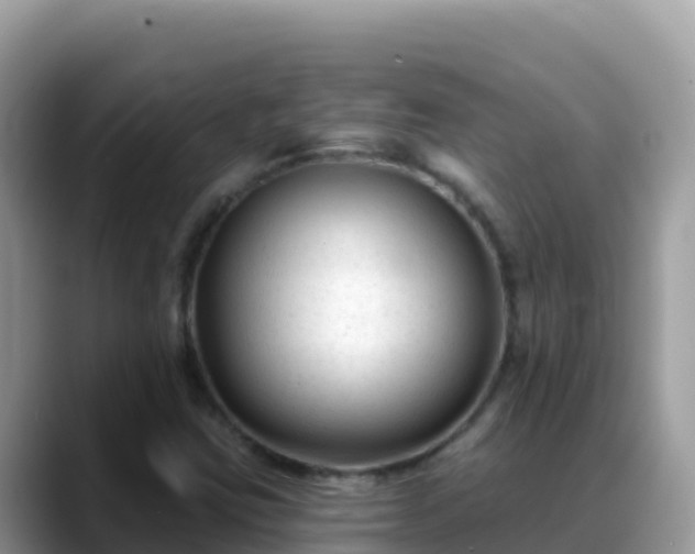 X0000088711403200706071550