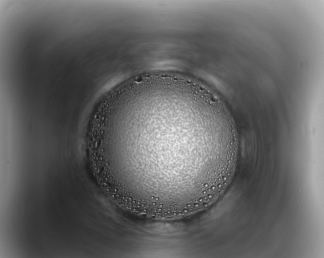 X0000088711405200706071550