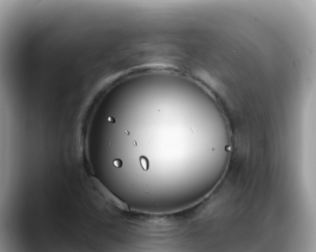X0000088711408200706071550