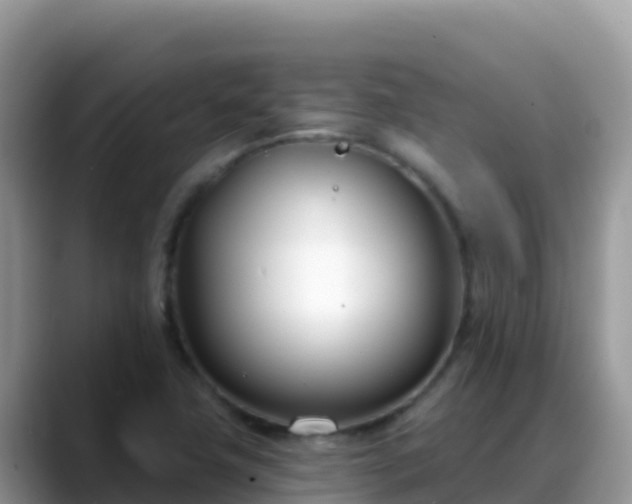 X0000088711411200706071550