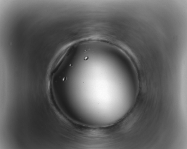 X0000088711416200706071550
