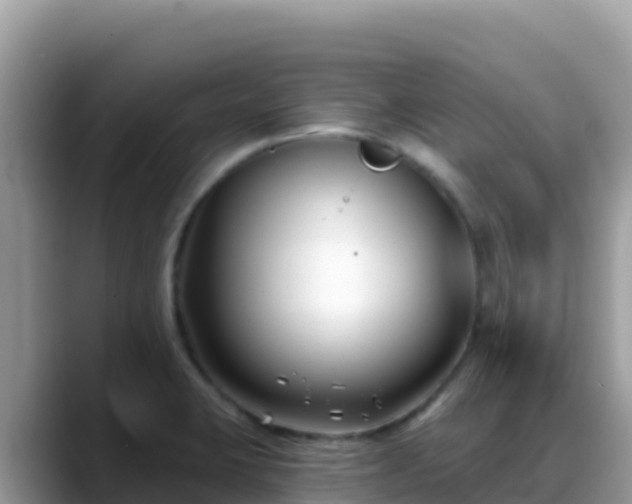 X0000088711423200706071551
