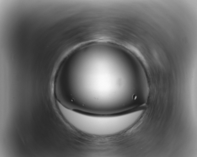 X0000088711424200706071551