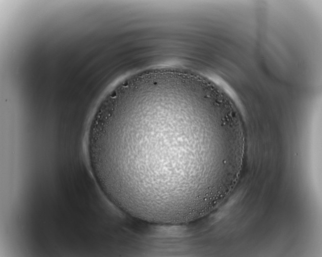 X0000088711429200706071551