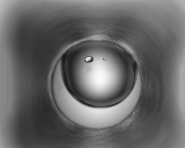 X0000088711430200706071551