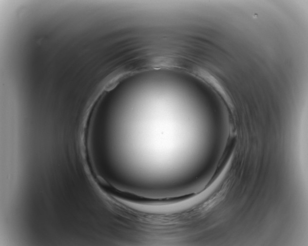 X0000088711434200706071551