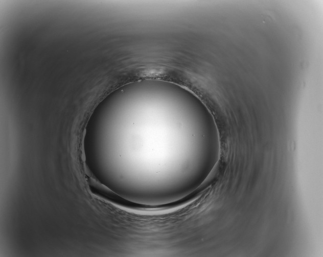 X0000088711441200706071550