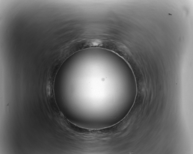 X0000088711442200706071550