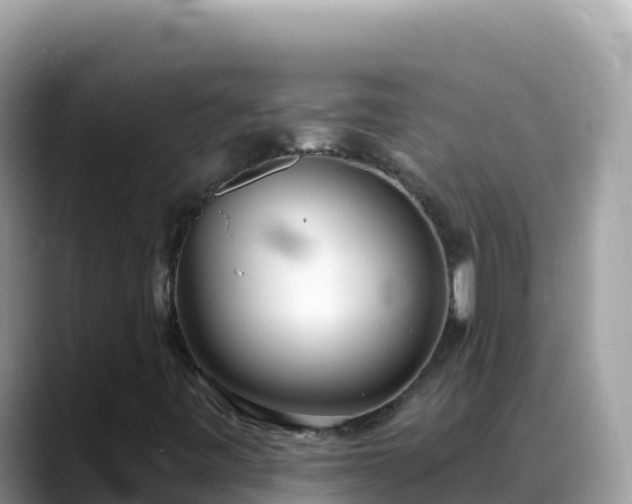 X0000088711443200706071550